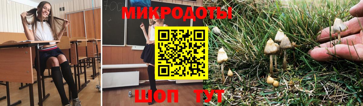 Галлюциногенные грибы прущие грибы  Вход с VPN  Луга 