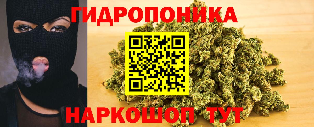 Конопля SATIVA & INDICA  Вход с VPN  Каннабис семена  Луга 